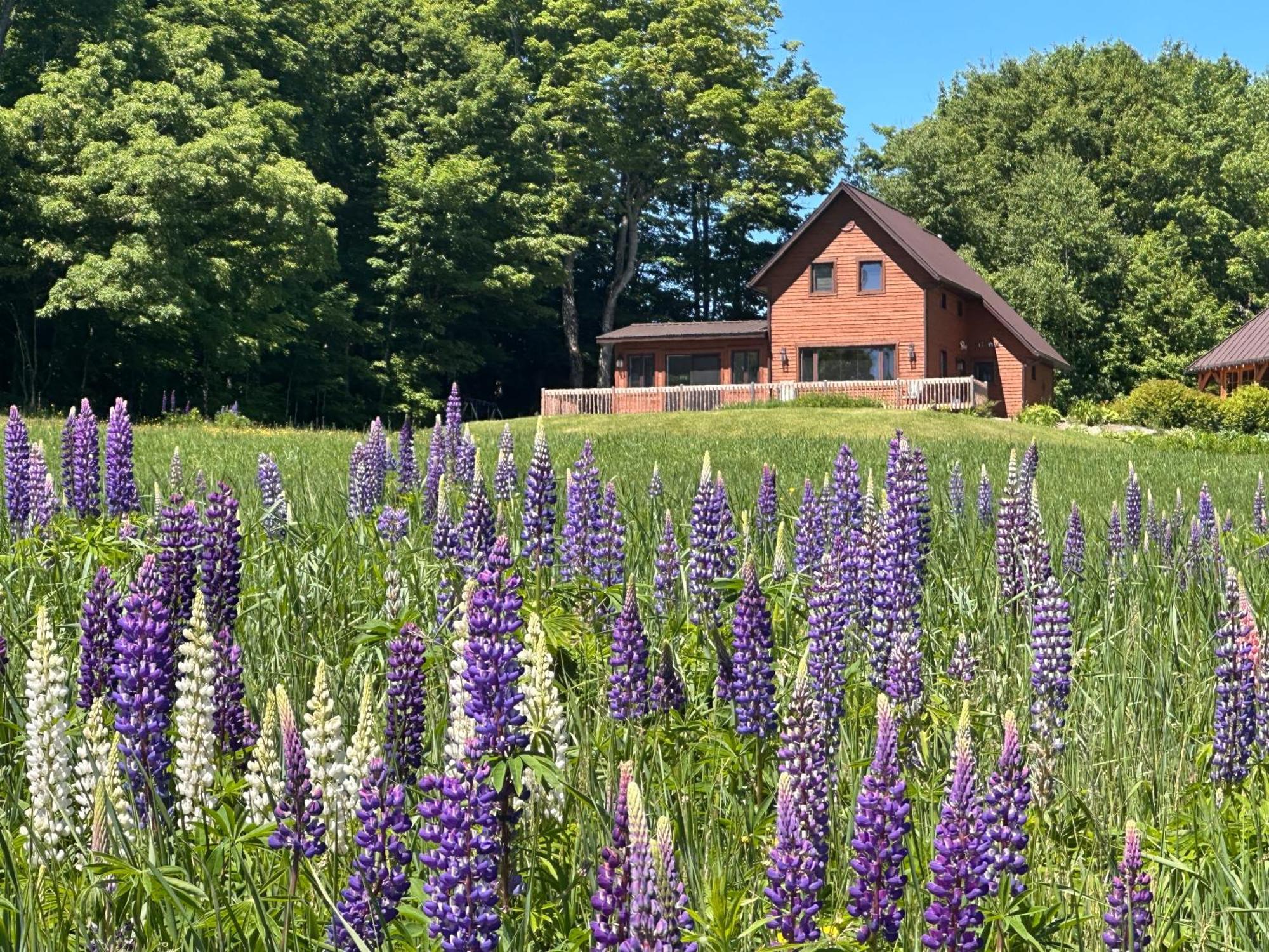 Domaine Gagnon Saint Sebastien Exterior foto